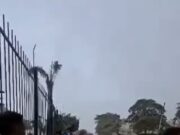 Dolor en la familia del béisbol: reportan fallecimiento de familiares de peloteros tras los sismos en La Guaira