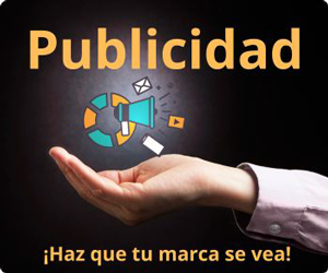 Google search engine