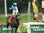 LA RINCONADA: Hemirxon Medina ganó los dos clásicos de la jornada hípica