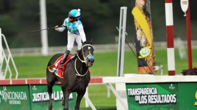 HERMIXON-MEDINA