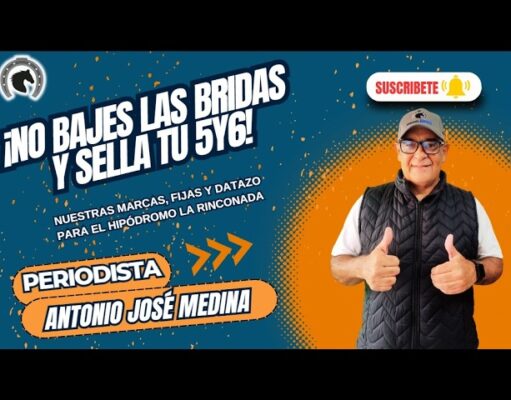 ¡Llegó el fin de semana hípico! Sigue las mejores orientaciones para Saratoga, Valencia y La Rinconada
