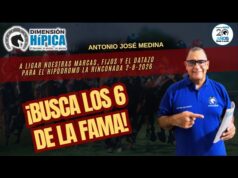 Nuestras Orientaciones para Saratoga este Viernes y La Rinconada este Domingo con Dimensión Hípica