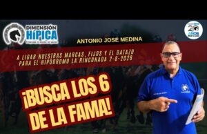 Nuestras Orientaciones para Saratoga este Viernes y La Rinconada este Domingo con Dimensión Hípica