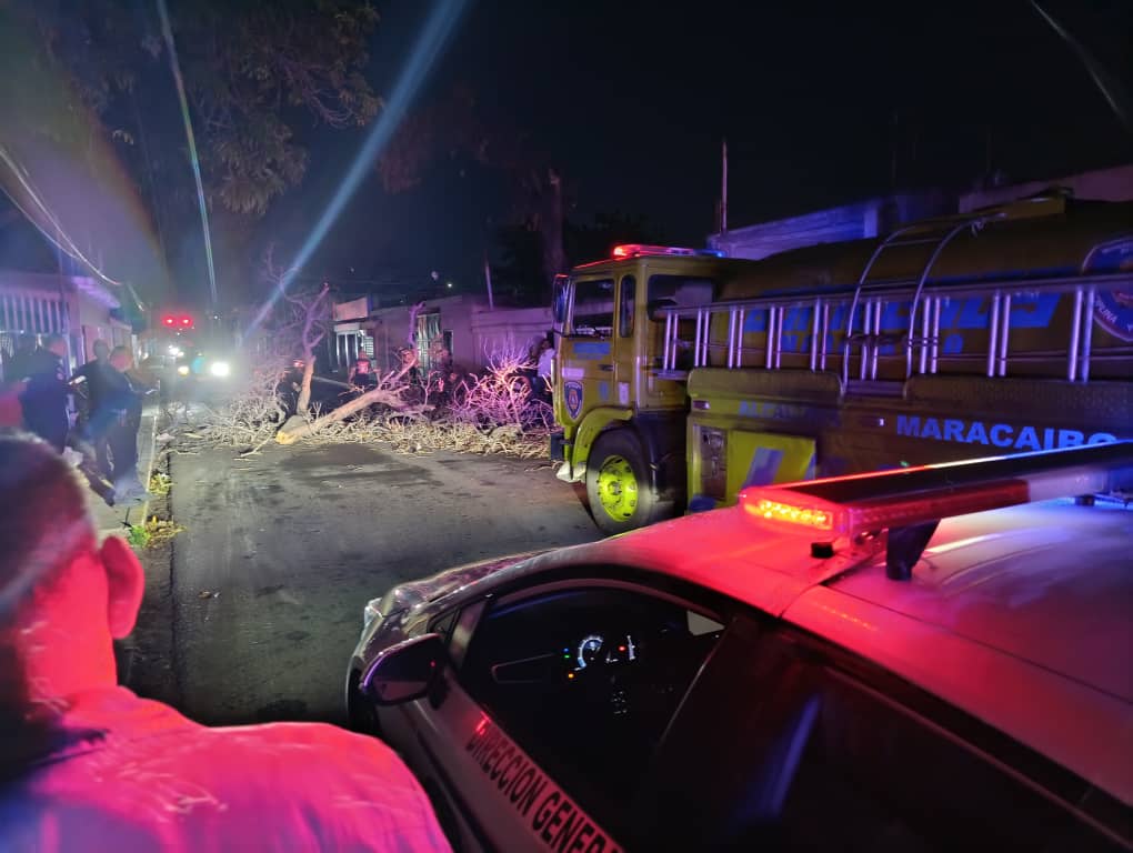 Fuertes lluvias y vientos la noche de este jueves dejadon Incidencias menores en cañadas de Maracaibo y 8 árboles caídos