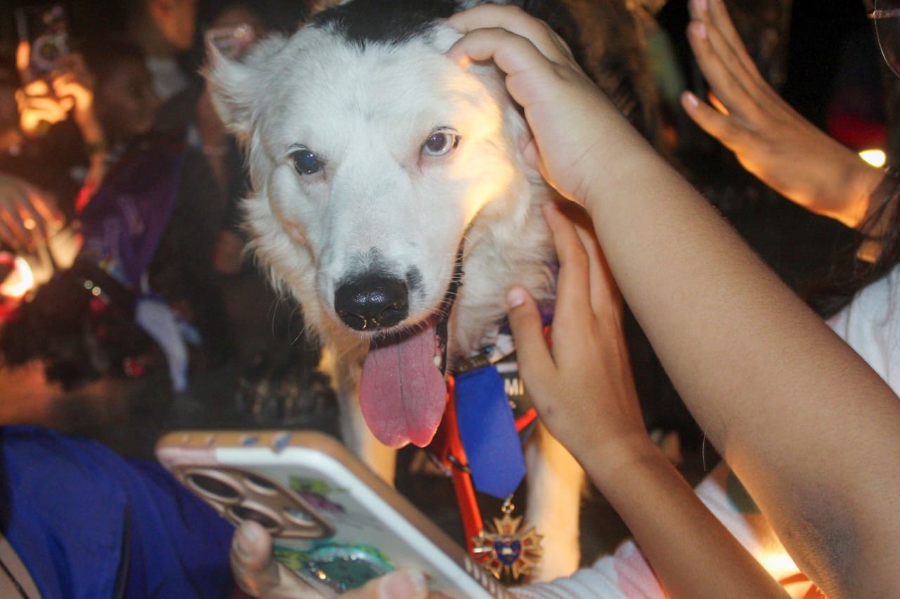 Tsunami estrenó el Parque Canino reinaugurado por la Alcaldía en el Ana María Campos