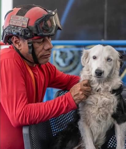 Alcalde Di Martino: «Tsunami, el canino rescatista, llegará a Maracaibo para recibir homenaje»